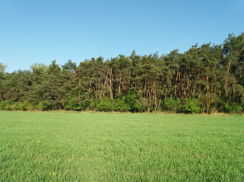 obrázok