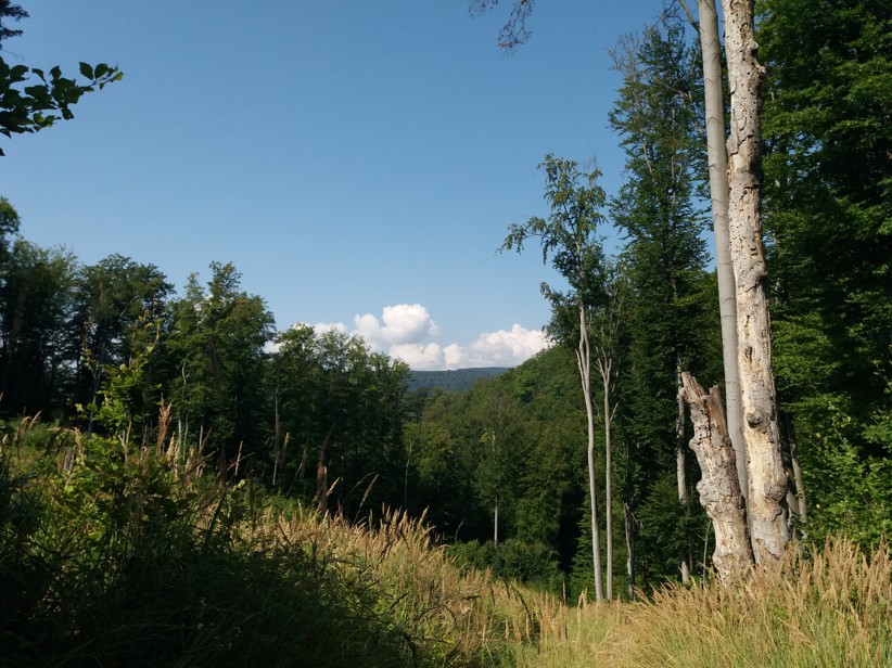 obrázok