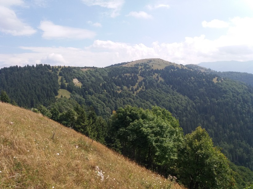 obrázok